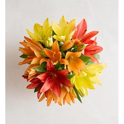 1-800-Flowers Seasonal Gift Delivery Autumn Lily Bouquet + Free Vase Single Bouquet Only