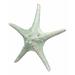 Highland Dunes Essex Jumbo Ocean Sea Star Shell Starfish Figurine Resin, Wood in Blue | 2.5 H x 11.25 W x 11.25 D in | Wayfair