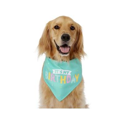 Frisco Dog & Cat Birthday Bandana, Medium/Large