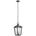 Kichler Pai 24" High Black Open Cage Outdoor Hanging Light