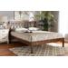 Baxton Studio Malene Mid-Century Modern Walnut Finished Wood Queen Size Platform Bed - Malene-Walnut-Queen