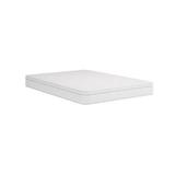 Full Firm 8" Innerspring Mattress - Wayfair Sleep™ Pillow Top | 74 H x 52.5 W 8 D in WFSP08FFFRSP