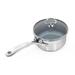 Chantal Stainless Steel Saucepan w/ Lid Non Stick/Stainless Steel in Gray | 5 H x 12.75 W in | Wayfair SLIN35-140C