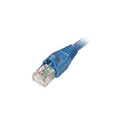 Steren Electronics Patch Cable - RJ-45 (M) - RJ-45 (M) - 3 ft - UTP - ( Cat5e ) - Blue
