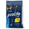 Prolife Smart Adult Medium/ Large Breed Pollo & Riso - Set %: 2 x 12 kg