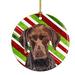 The Holiday Aisle® German Shorthai Pointer Holiday Christmas Hanging Figurine Ornament /Porcelain in Blue/Green/Red | 3 H x 3 W x 0.25 D in | Wayfair