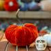 The Twillery Co.® Velvet Pumpkin Decorative Accent Resin in Orange | 6.75 H x 5.25 W x 5.25 D in | Wayfair 8E425497F6B14A4499036608B614E470