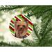 The Holiday Aisle® Yorkie Holiday Christmas Hanging Figurine Ornament Ceramic/Porcelain in Blue/Green/Red | 3 H x 3 W x 0.25 D in | Wayfair