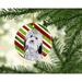 The Holiday Aisle® Havanese Christmas Hanging Figurine Ornament Ceramic/Porcelain in Black/Green/Red | 3 H x 3 W x 0.25 D in | Wayfair