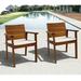 Bay Isle Home™ Mode Furniture Easy Carver Patio Dining Chair w/ Cushion Wood in Brown | 33 H x 24 W x 24.5 D in | Wayfair