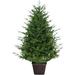 The Holiday Aisle® Potted 4' Pine Artificial Christmas Tree in Green | 48 H x 39 W in | Wayfair 389CA9D305F2450991F3F576A9F4934E