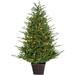 The Holiday Aisle® Prelit Potted 4' Green Pine Artificial Christmas Tree w/ 200 Clear & White Lights in Green/White | Wayfair