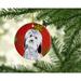 The Holiday Aisle® Havanese Snowflakes Holiday Hanging Figurine Ornament Ceramic/Porcelain in Red | 3 H x 3 W x 0.25 D in | Wayfair