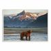 Millwood Pines 'Grizzly Bear Standing in Salmon Stream' by Paul Souders Photograph Print Wood in Brown | 12 H x 18 W x 0.5 D in | Wayfair