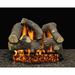 American Gas Log Somerset Blaze Natural Vent Gas/Propane Fireplace Logs in White | 16 H x 28 W x 14 D in | Wayfair SB-18-RCV101-S-DBL