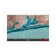 Garmin Standard Mapping - Emerald Coast Professional microSD/SD Card 010-C1191-00