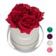 Relaxdays Rosenbox rund, 4 Rosen, stabile Flowerbox grau, 10 Jahre haltbar, Geschenkidee, dekorative Blumenbox, rot