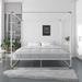 CosmoLiving by Cosmopolitan Celeste Canopy Bed Metal in Black | 73 H x 78 W x 82.5 D in | Wayfair 4456049CL