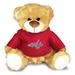 Red Washington Capitals Personalized 10'' Plush Bear