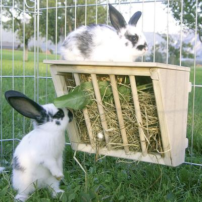 Hay Rack with Sitting Platform 25x17x20cm (LxWxH)