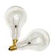 Sylvania 10029 - 40A15C/CL/FAN/2 A15 Light Bulb