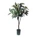 Gracie Oaks Ayleth Artificial Flowers & Plants Rubber Tree in Pot Plastic | 59 H x 28 W x 28 D in | Wayfair 030EA9557C124F3493A8FD6F47E937A6