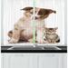 East Urban Home 2 Piece Dog & Cat Border Collie Puppy & a Mixed Breed Kitten Looking Shocked Kitchen Curtain Set | 39 H x 55 W x 2.5 D in | Wayfair