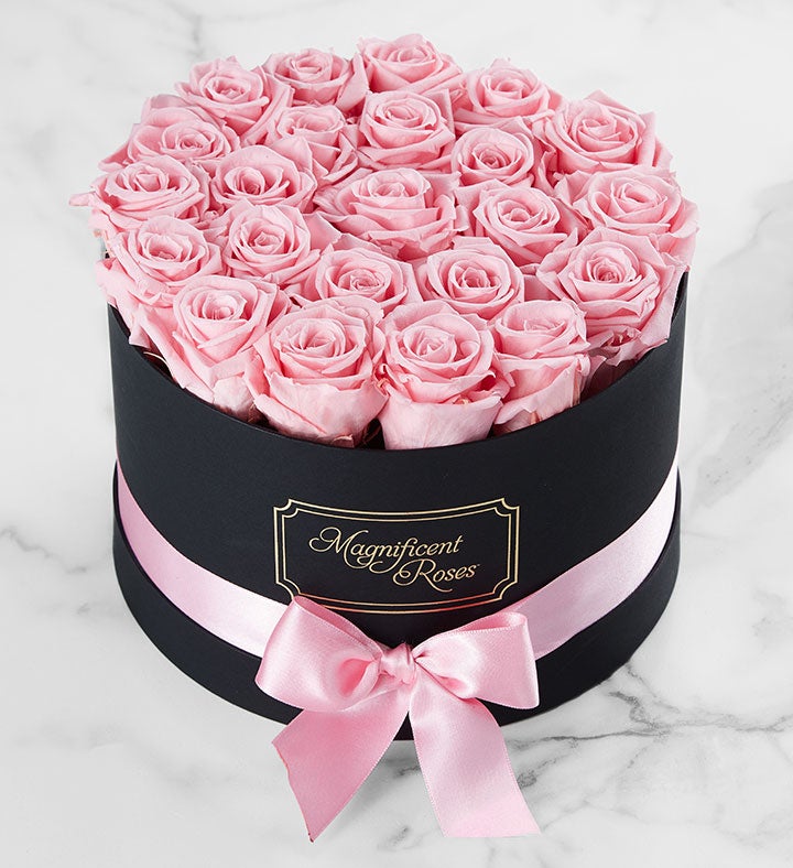 1-800-Flowers Flower Delivery Magnificent Preserved Roses Premier Pink | Same Day Delivery Available