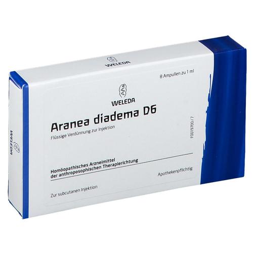 Aranea Diadema D 6 Ampullen 8x1 ml