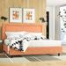 Mercury Row® Teen Low Profile Standard Bed Upholstered/Polyester in Orange | 49 H x 62 D in | Wayfair 44300B25169E4E319636196A5C6956E9