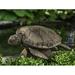 Campania International Large Sea Turtle Concrete | 10.5 H x 20.5 W x 17.5 D in | Wayfair A-614-NN