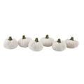 The Twillery Co.® Byrne Boxed Velvet Pumpkin Decorative Accent Resin in White/Brown | 2.75 H x 8.25 W x 5.63 D in | Wayfair