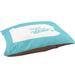 East Urban Home Sweet Allentown Indoor Dog Pillow Metal in Green/Blue | 7 H x 50 W x 40 D in | Wayfair 541A994F9E1C40DC80D3F3642F3AAE10