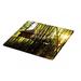 East Urban Home Glass Tree House Cutting Board Glass | 0.25 H x 11.5 W in | Wayfair DDCD45EFBB374DA6946D479A5423B0BE