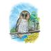 Buyenlarge The Barred Owl by Theodore Jasper Painting Print in Blue/Gray/Green | 30 H x 20 W in | Wayfair 0-587-03812-8C2030