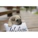 Hi-Line Gift Ltd. Pug w/ Welcome Sign Statue in Brown | 2 H x 4.92 W x 4.72 D in | Wayfair 87677-C