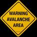 Treasure Gurus Metal Danger Warning Avalanche Area Street Sign Bar Pub Wall Skiing Decor Metal in Yellow | 12 H x 12 W x 1 D in | Wayfair