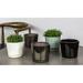 World Menagerie I/O Series 6-Piece Terracotta Pot Planter Set Clay & Terracotta in Gray | 5.75 H x 5.75 W x 5.75 D in | Wayfair