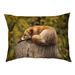Tucker Murphy Pet™ Burien Sleeping Fox Cat Bed Outdoor Designer Pillow Fleece in Brown | 14 H x 42.5 W x 32.5 D in | Wayfair