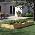 Sol 72 Outdoor™ Electa 4 ft x 8 ft Cedar Wood Raised Garden Wood in Brown | 10.5 H x 96 W x 48 D in | Wayfair 1981014DA4234430AEA52DAB81C96DF6