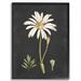 Gracie Oaks 'Botanical Drawing White Flower On Design' Graphic Art Paper in Black | 20 H x 16 W x 1.5 D in | Wayfair