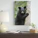 East Urban Home 'Black Bear Cub' Photographic Wood/Canvas in Black/Brown/Gray | 24 H x 16 W x 1.5 D in | Wayfair 361BC2DF10AE46F99C0C1C6943FAC104