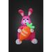 The Holiday Aisle® Rabbit Holding Carrot Inflatable Polyester in Orange/Pink | 48 H x 22 W x 27 D in | Wayfair 300012