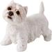 Alcott Hill® Hornberger West Highland Terrier Figurine Resin in Blue/White | 2.75 H x 3 W x 1.5 D in | Wayfair A4848F62208B45418F13124EB3C130CE