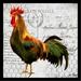 August Grove® 'French Rooster II Poster' Framed Graphic Art Paper in White | 36 H x 36 W in | Wayfair 7D79FE5DCF1447AEB5A6E50B88EC2601