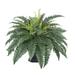 Winston Porter Artificial Fern Desk Top Plant in Decorative Urn Resin in Black | 22 H x 24 W x 24 D in | Wayfair HF0498-BLK