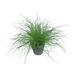 Primrue Cactus Plant in Pot Silk/Ceramic/Plastic | 17 H x 6 W x 6 D in | Wayfair BA08A61B156F4252AC94FE198A579E7E