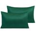 Charlton Home® Kinzie Pillowcase Microfiber/Polyester/Silk/Satin in Green | 30 H x 20 W in | Wayfair FFA9D0F22C474849BD9AFA4FB164D6F3