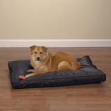 Tucker Murphy Pet™ Rouleau Mat Polyester/Nylon in Black | 3.5 H x 42 W x 28 D in | Wayfair CFD9C67AE55D4F07900D5C9676CE1254