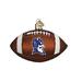 Old World Christmas Tennessee Football Hanging Figurine Ornament Glass in Brown | 5 H x 7 W x 3 D in | Wayfair 61500